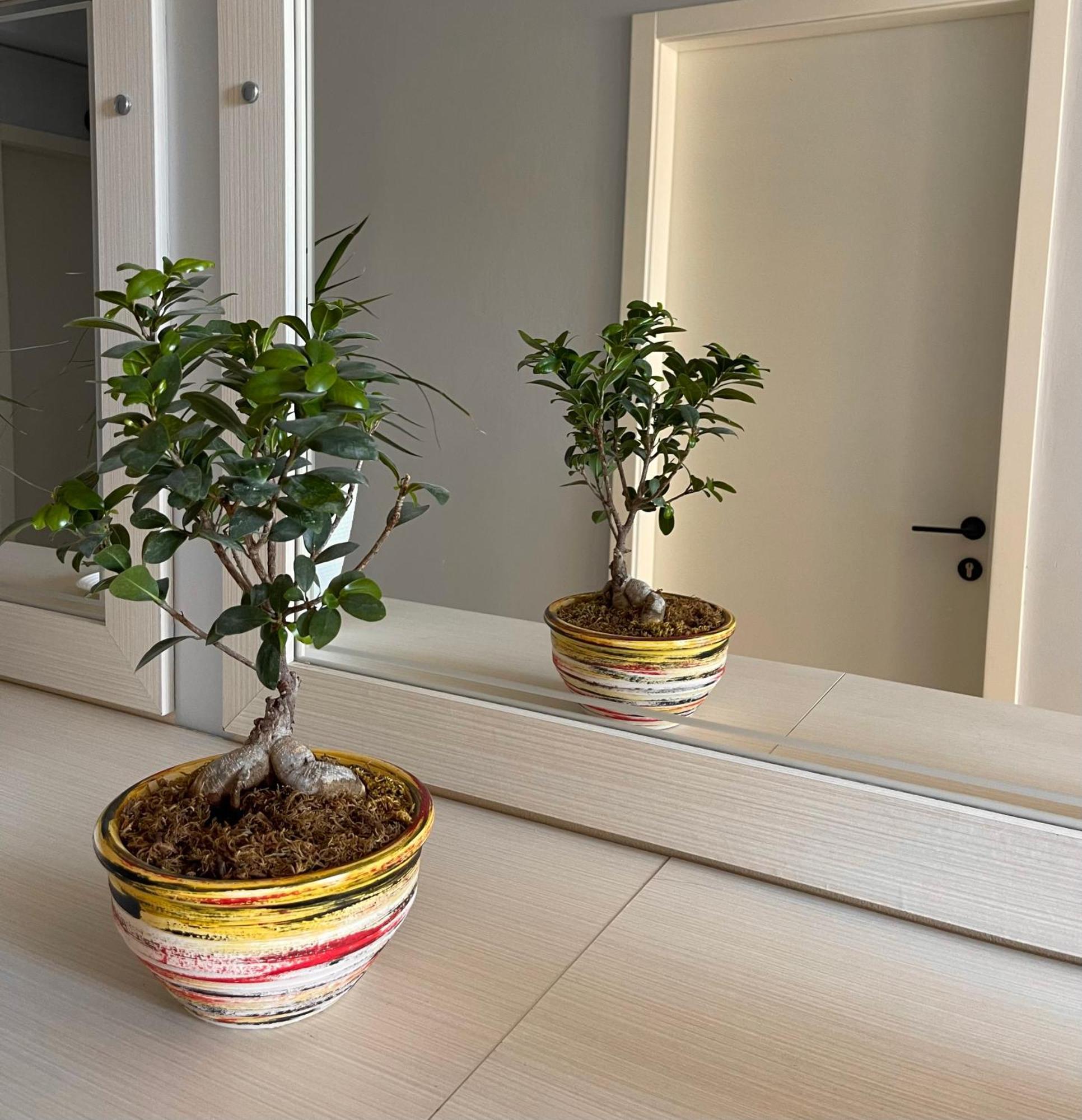 Melina Apartments Sarande Bagian luar foto